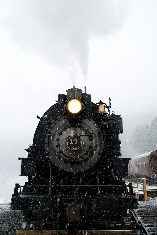 Tren sobre selva en Estambul